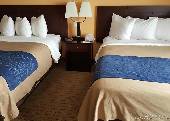Express & - By Ihg Hotel Prospect Heights